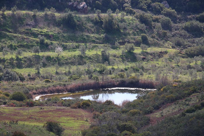 %_tempFileNameAlgarve04-Vale%20Fuzeiros-20%