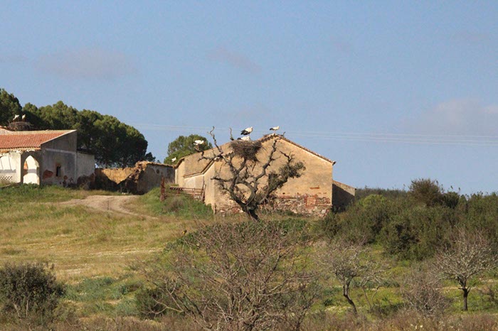%_tempFileNameAlgarve06-Monchique-121%