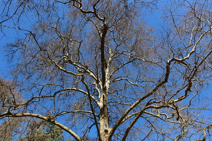 %_tempFileNameAlgarve06-Monchique-009%