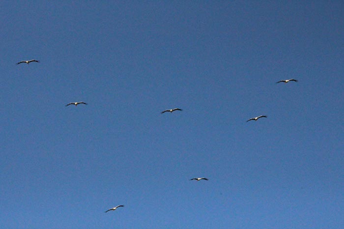 %_tempFileNameAlgarve06-Monchique-104%