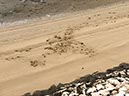 %_tempFileNameAlgarve02-Alvor-29%