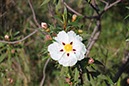 %_tempFileNameAlgarve04-Vale%20Fuzeiros-22%