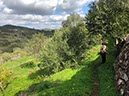 %_tempFileNameAlgarve04-Vale%20Fuzeiros-37%