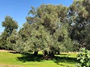 %_tempFileNameAlgarve05-Paderne-12%