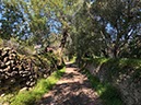 %_tempFileNameAlgarve05-Paderne-14%