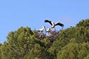 %_tempFileNameAlgarve06-Monchique-089%