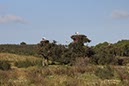 %_tempFileNameAlgarve06-Monchique-120%