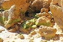 %_tempFileNameAlgarve03-Carvoeiro-45%