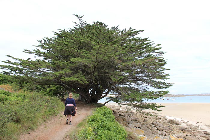 %_tempFileNameBretagne04-Ile%20Grande-08%