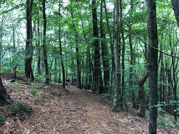 %_tempFileNameBretagne08-Beauport-10%