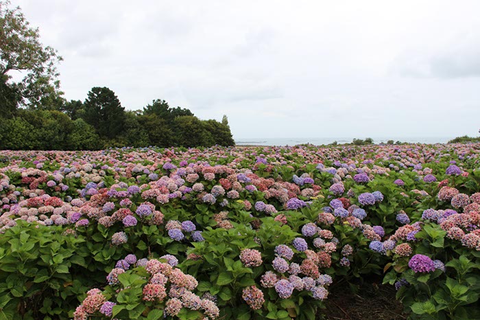%_tempFileNameBretagne08-Beauport-15%