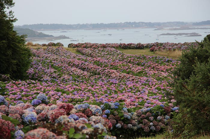 %_tempFileNameBretagne08-Beauport-19%