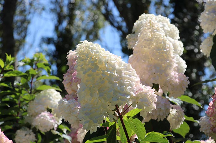 %_tempFileNameBretagne14-Lac%20de%20Duc-02%