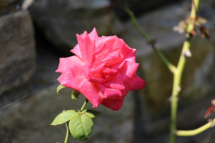 %_tempFileNameBretagne16-Larmor%20Baden-18%