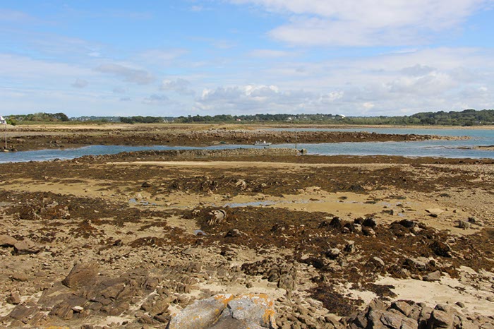 %_tempFileNameBretagne04-Ile%20Grande-35%
