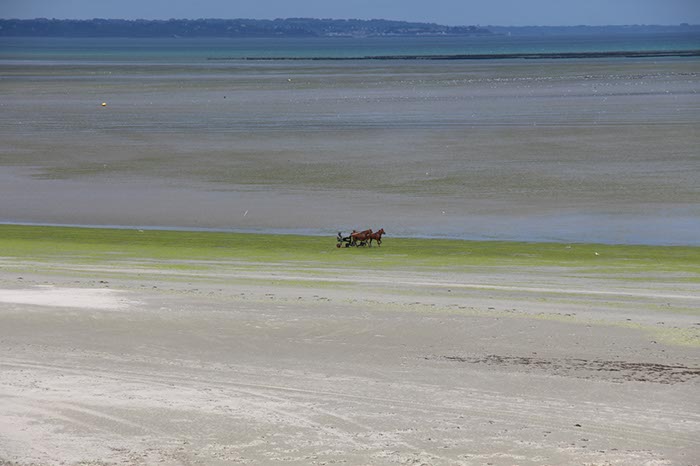 %_tempFileNameBretagne07-Lermot-49%