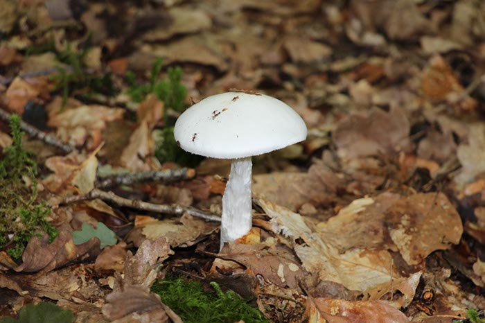 %_tempFileNameBretagne10-Lac%20de%20Guerledan-05%