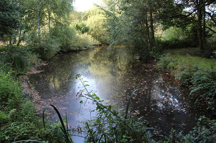 %_tempFileNameBretagne14-Lac%20de%20Duc-32%