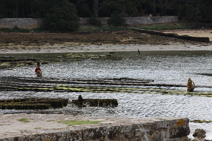 %_tempFileNameBretagne19-Ile-aux-Moines-03%