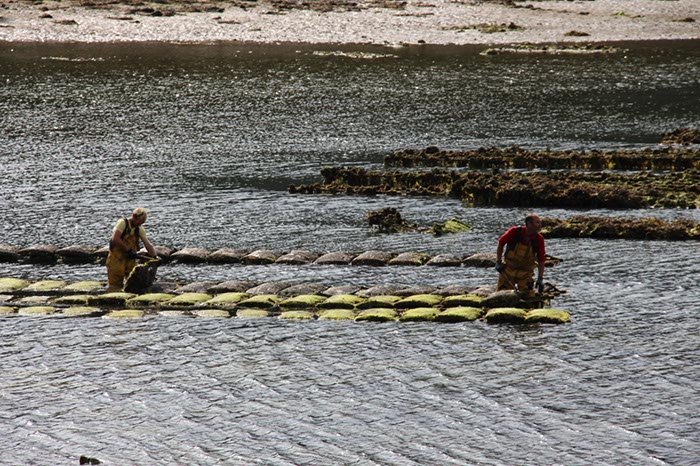 %_tempFileNameBretagne19-Ile-aux-Moines-05%