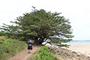 %_tempFileNameBretagne04-Ile%20Grande-08%