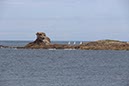 %_tempFileNameBretagne04-Ile%20Grande-18%