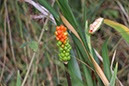 %_tempFileNameBretagne07-Lermot-55%