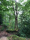 %_tempFileNameBretagne08-Beauport-04%
