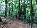 %_tempFileNameBretagne08-Beauport-10%