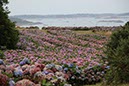 %_tempFileNameBretagne08-Beauport-19%