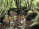 %_tempFileNameBretagne09-George%20du%20Blavet-05%