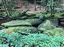 %_tempFileNameBretagne09-George%20du%20Blavet-06%
