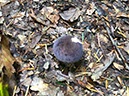 %_tempFileNameBretagne10-Lac%20de%20Guerledan-08%