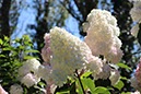 %_tempFileNameBretagne14-Lac%20de%20Duc-02%