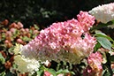 %_tempFileNameBretagne14-Lac%20de%20Duc-03%
