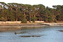 %_tempFileNameBretagne18-Golf%20van%20Morbihan-04%