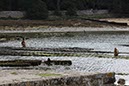 %_tempFileNameBretagne19-Ile-aux-Moines-03%