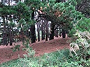 %_tempFileNameBretagne19-Ile-aux-Moines-18%