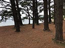 %_tempFileNameBretagne19-Ile-aux-Moines-22%