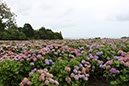%_tempFileNameBretagne08-Beauport-15%