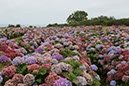 %_tempFileNameBretagne08-Beauport-17%