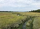 %_tempFileNameBretagne17-Mousterian-03%