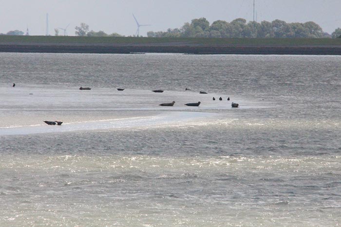 %_tempFileNameDLDK05-Langeoog-08-5%
