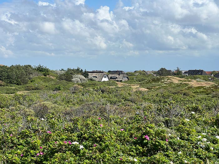%_tempFileNameDLDK05-Langeoog-67%