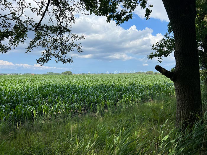%_tempFileNameDLDK06-Lutetsburg-09%