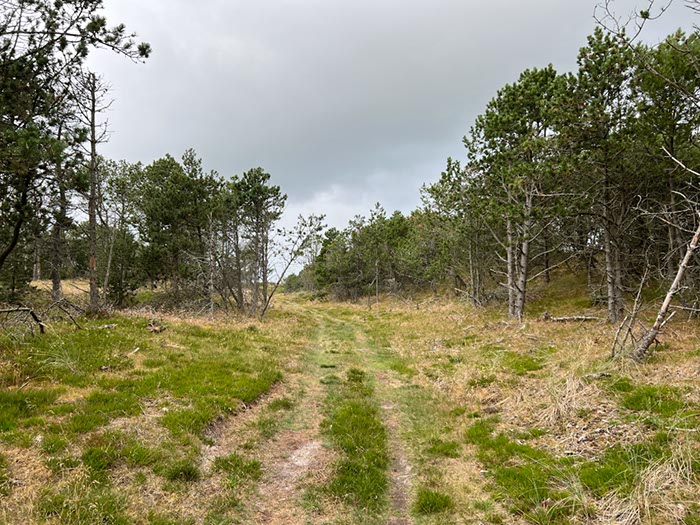 %_tempFileNameDLDK12-Kaergard-17%