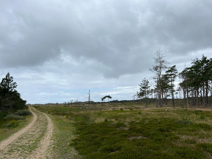 %_tempFileNameDLDK12-Kaergard-04%