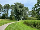 %_tempFileNameDLDK01-Dornumersiel-02%