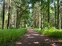 %_tempFileNameDLDK03-Sandkrug-01%