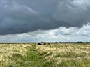 %_tempFileNameDLDK04-Hilgenriedersiel-06%